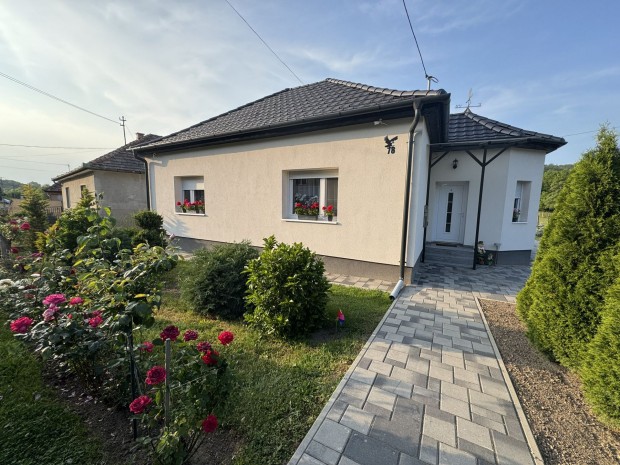 Elad� csal�di h�z, Salg�tarj�n