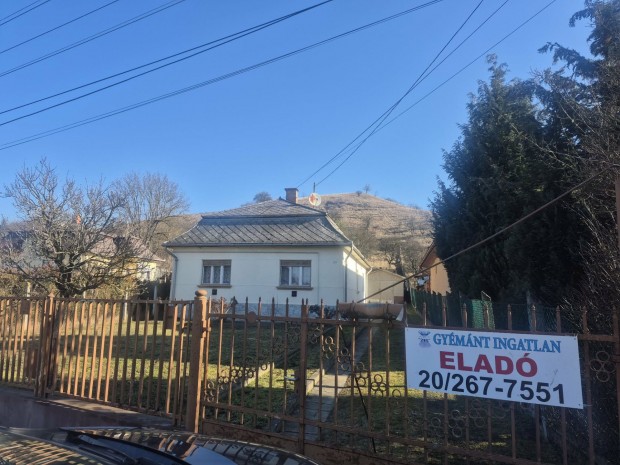 Elad� csal�di h�z, Salg�tarj�n