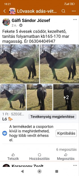 Elad egy Fekete Csdr 