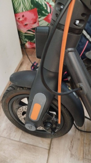 Eladó egy Ninebot by Segway Kickscooter F2 Plus E típusu roller!