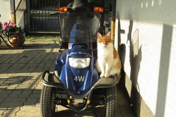 Elad elektromos moped j llapotban!