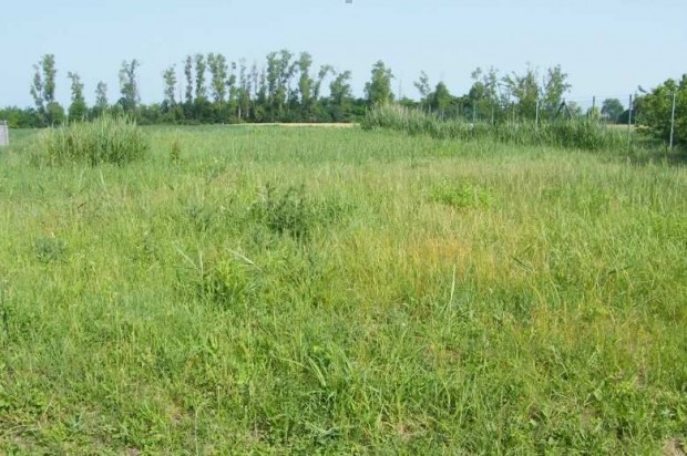 Elad� �p�t�si telek Balatonszabadiban