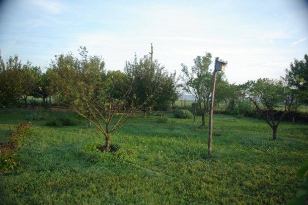 Elad� �p�t�si telek Bugacpuszth�z�n kiv�teles lehet�s�g!