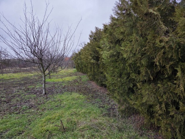 Elad� �p�t�si telek Detken, az �j �voda k�zel�ben!