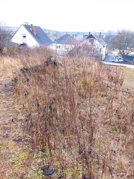 Elad� �p�t�si telek �barkon  panor�m�s, nyugodt k�rnyezetben