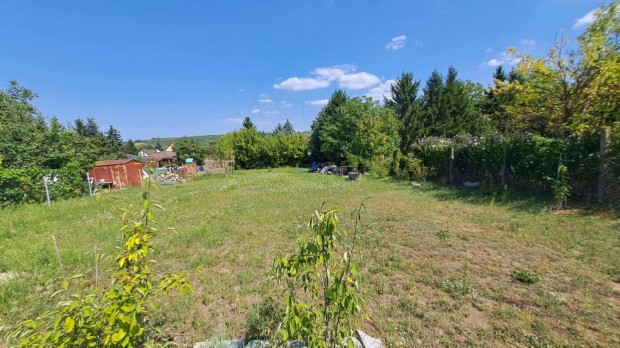 Elad� �p�t�si telek Sz�l�sgy�r�k telep�l�sen