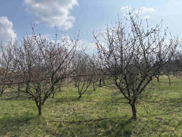 Elad� �p�t�si telek T�ten