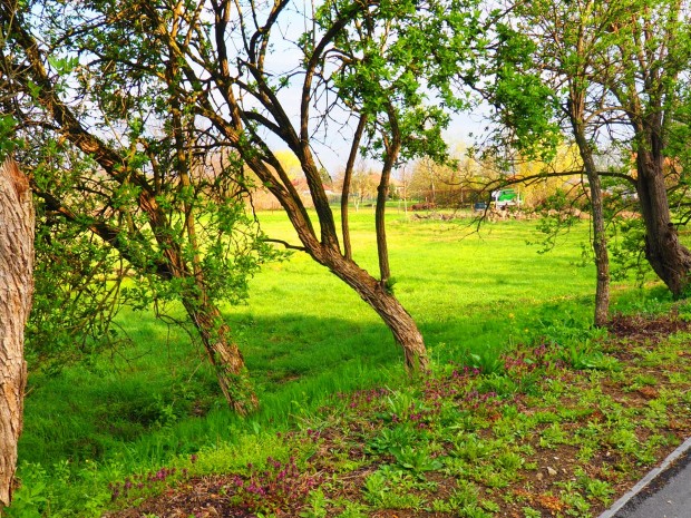 Elad� �p�t�si telek, Demj�n