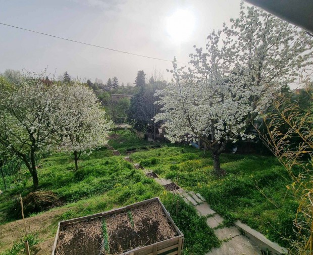 Elad� �p�t�si telek - Duna�jv�ros T�bor�ll�s