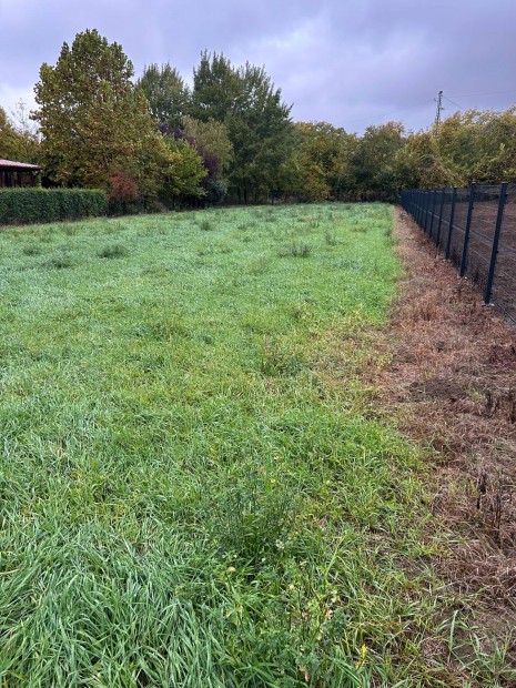 Elad� �p�t�si telek - Tokaj