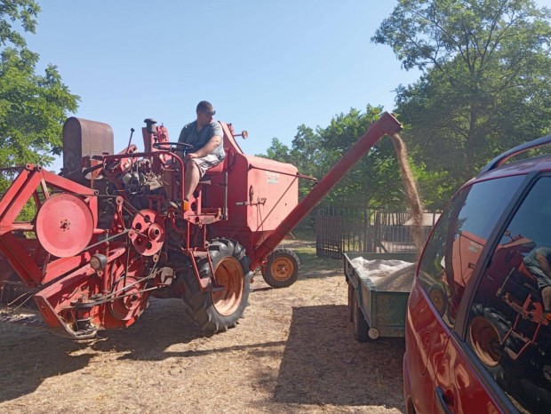 Elad epple mobile 211