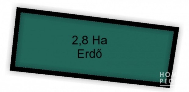 Elad� erd� Kl�rafalv�n! - Kl�rafalva