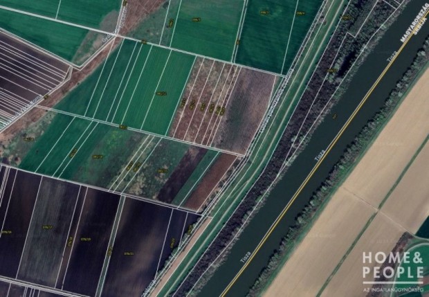 Elad� erd� Szegeden!