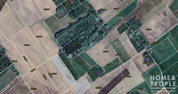 Elad� erd� Z�k�nysz�ken!