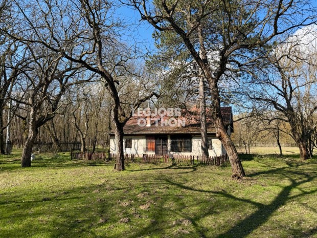 Elad� erd�s r�szen fekv� tanya Mikebuda k�lter�let�n