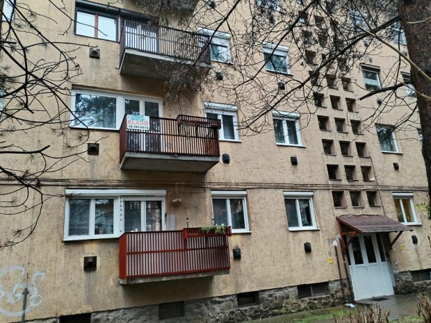 Elad� erk�lyes, azonnal k�lt�zhet� 2 szob�s lak�s Salg�tarj�nban