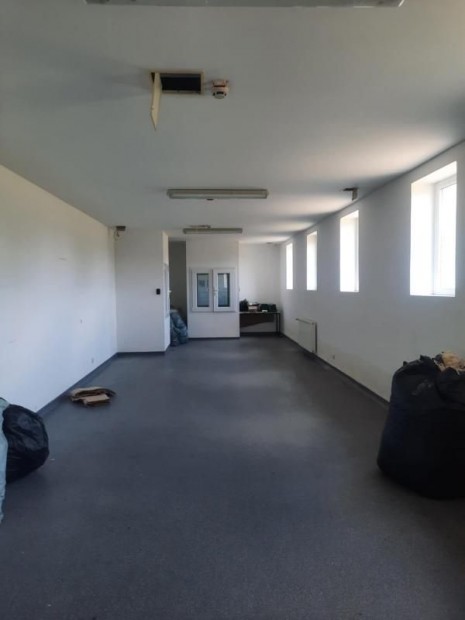 Elad� erki gy�r�p�let