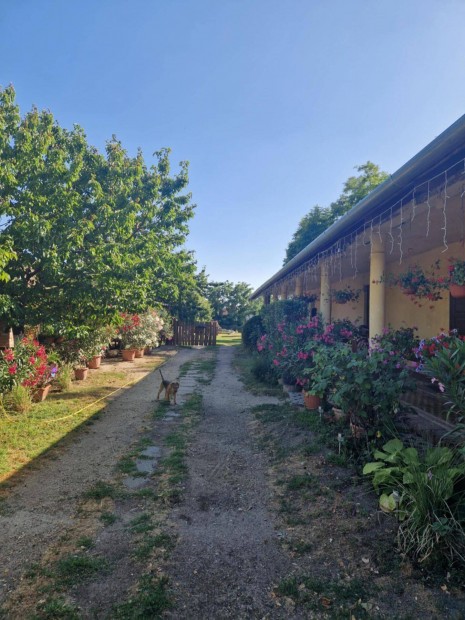 Elad� fejleszt�si telek Vecs�sen