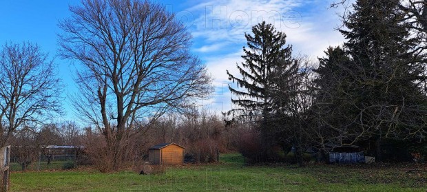 Elad� fejleszt�si ter�let Balatonszemesen