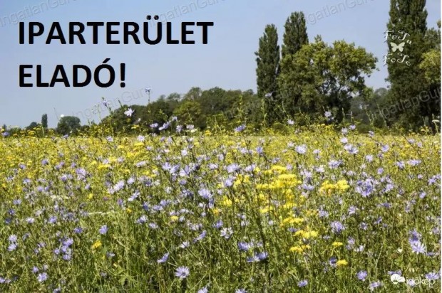 Elad� fejleszt�si ter�let Kecskem�t