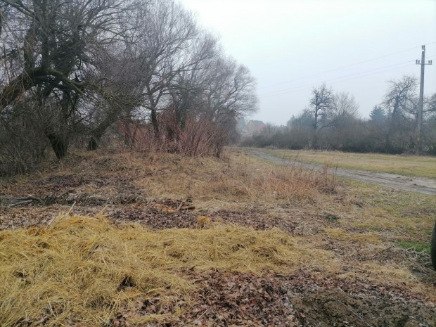 Elad� fejleszt�si ter�let, oszthat� telek T�sen!