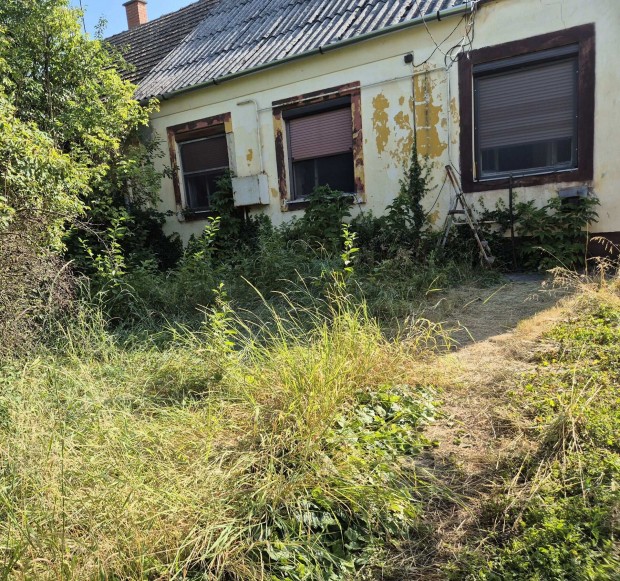 Elad� fel�j�tand� ikerh�z