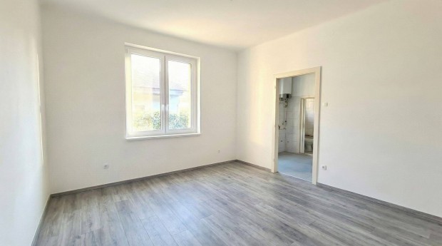 Elad� fel�j�tott garzon Kispest hat�r�n, 30 nm, saj�t kertkapcsolattal