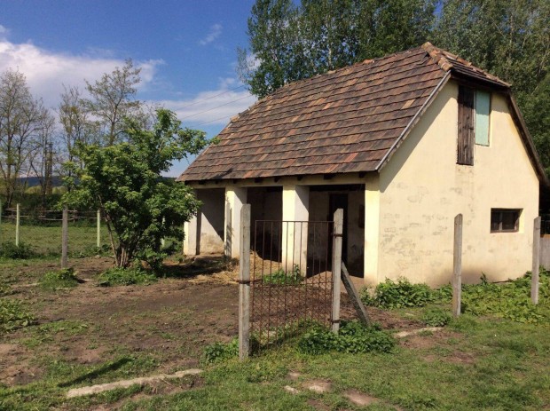Eladó festői környezetben hatalmas birtok Tatabányán!