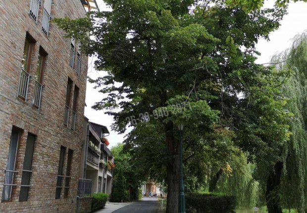 Elad� gar�zs, Gyula Belv�ros, V�rosh�za utca, 6200000 Ft, 12 nm 358_ph