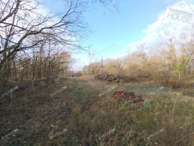 Elad� gazd�lkod�sra alkalmas telek Helv�ci�n!