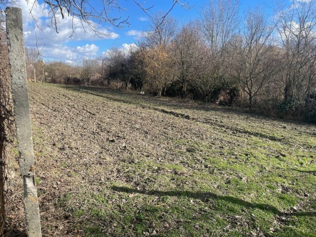 Elad� gondozott hobbikert Kalocs�n