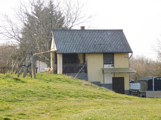 Elad� gondozott sz�l�birtok pr�sh�zzal Mosd�son, a Vigad�-hegyen 