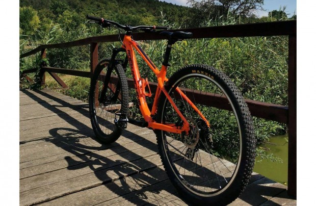 Elad gynyr mtb rock machine blizz 10 29