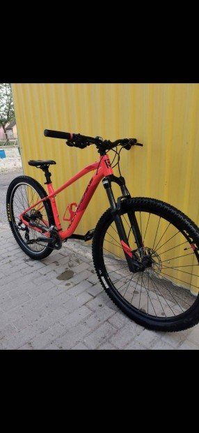 Elad gynyr mtb rock machine blizz 10 29