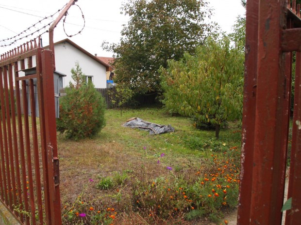 Elad� hatalmas telek h�zzal, �p�letekkel, pinc�kkel