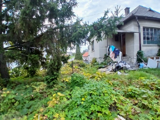 Elad� h�z Cset�ny