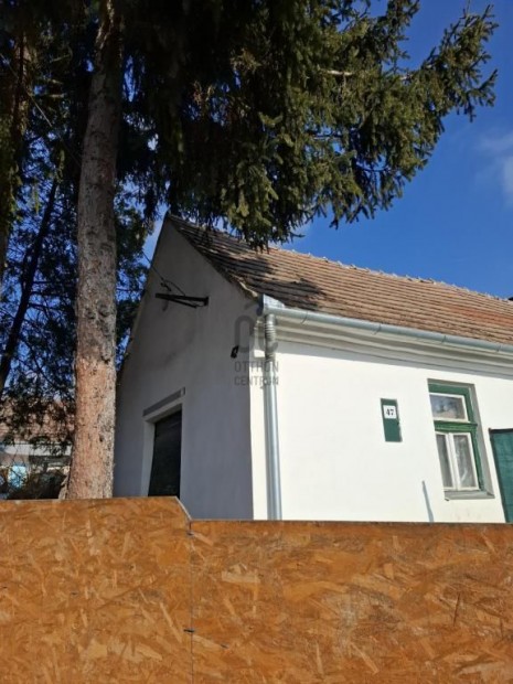 Elad hz Marcali, Bize