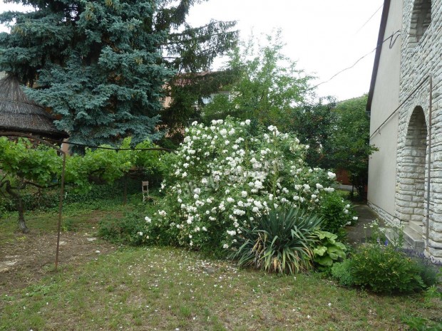 Elad� h�z, Balatonf�red Belv�ros, 250000000 Ft, 220 nm 174_agr