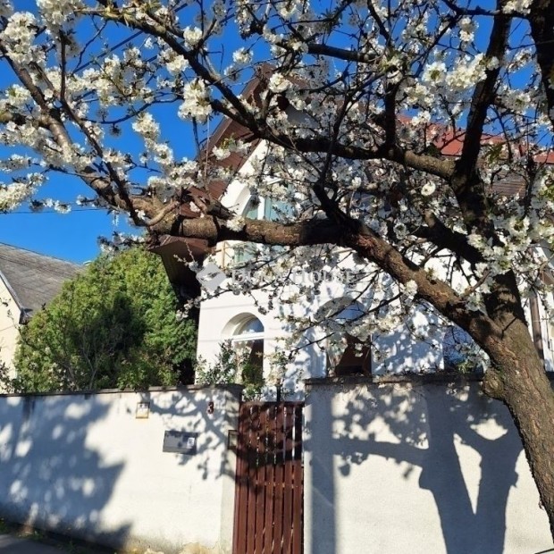 Elad� h�z, Budapest 18. ker.