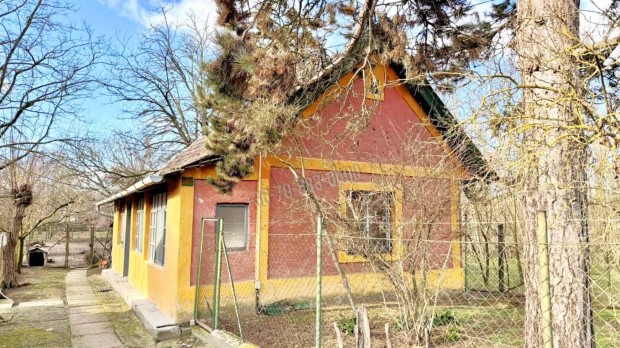 Elad� h�z, Dabas, 18990000 Ft, 50 nm