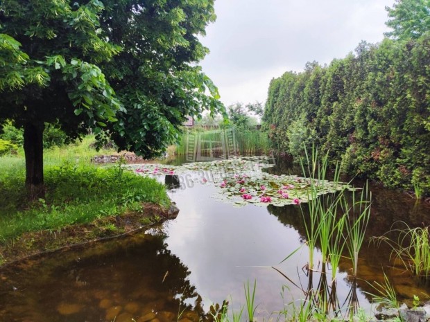 Elad� h�z, �rd, 99000000 Ft, 145 nm 68_zsz