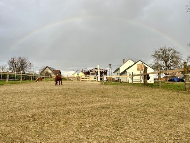 Eladó ház, Pusztaszemes