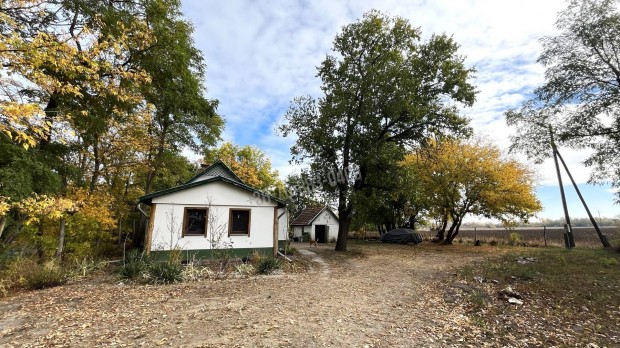 Elad� h�z, T�borfalva T�borfalva, 32900000 Ft, 62 nm