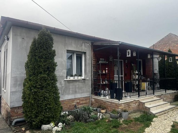 Elad� h�z - G�d�ll�