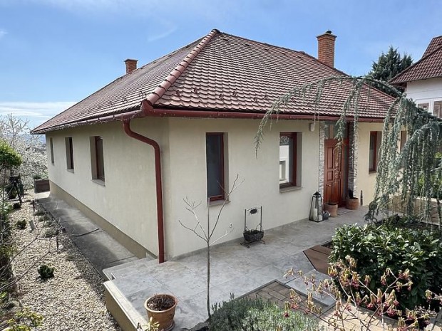 Elad� h�z - Szentendre