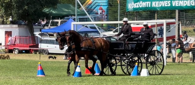 Eladó hintó Tarjányi féle