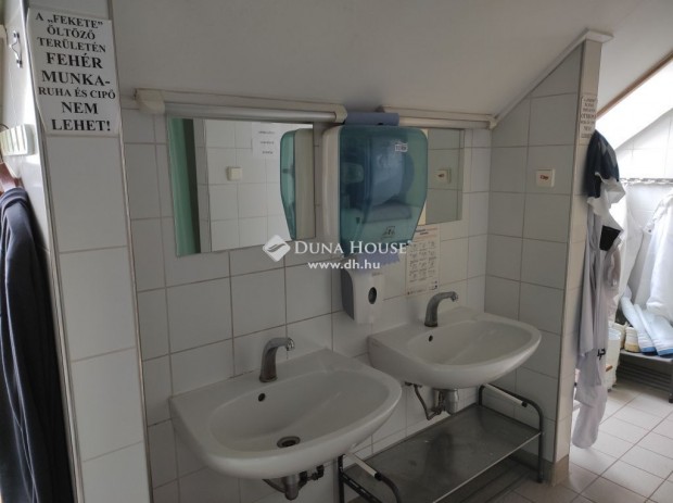 Elad� h�s�zem k�zel a Balatonhoz