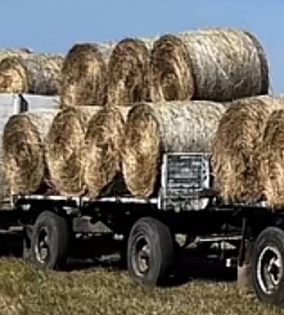 Eladó ifa fixes pótkocsi hw mtz