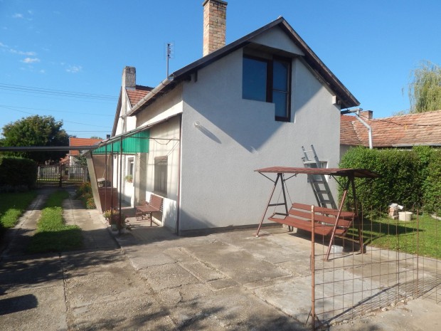 Elad� ikerh�z, S�ris�p