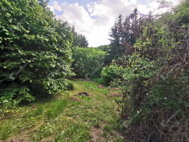 Elad� ingatlan, Homokkom�rom